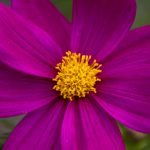 扑克王下载后如何快速上手游戏技巧与策略 lfrd5l