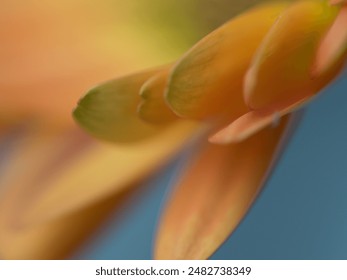 2008年北京奥运会开幕式震撼全球直播盛况 2008年北京奥运会开幕式震撼全球直播盛况