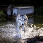 2008年大乐透开奖历史回顾与详细数据分析 2jebgwdw