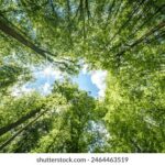 3D开奖号码407前后关联走势深度解析 4njl3h6f5