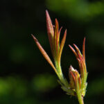 2008期3D开奖号码查询及历史走势分析 4yb5ajc