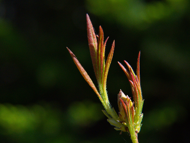 2008期3D开奖号码查询及历史走势分析 2008期3D开奖号码查询及历史走势分析