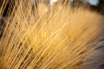 20079期开奖结果公布最新号码揭晓 20079期开奖结果公布最新号码揭晓