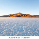 20083d开奖数据最新公布与历史号码查询 8479zu