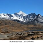 2006年大乐透开奖结果查询与历史数据汇总 b4wng17