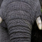 3d开奖号码为最新一期结果公布 cdkhcm2b1