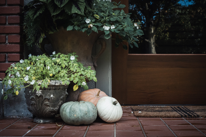 2008年双色球开奖号码全记录及历史回顾 2008年双色球开奖号码全记录及历史回顾