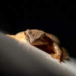 3d开奖号历史最新多少期完整数据汇总 p26axvyvjl