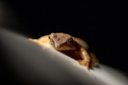 3d开奖号历史最新多少期完整数据汇总 3d开奖号历史最新多少期完整数据汇总