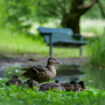 2008023期双色球开奖结果查询与详细号码公布 vikd7